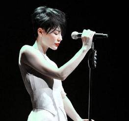 王菲经纪人微博辟谣 演唱会尚未正式公布售票，警惕虚假信息