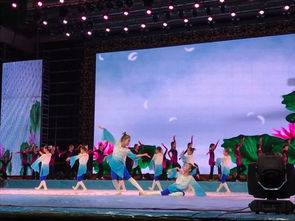 《祖国永远是春天》——小江精品艺术学校2025年专场春节文艺演出暨广播电视节目制作纪实