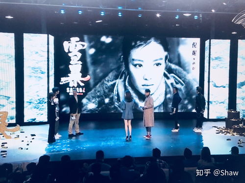 影视行业资源整合平台 连接人才与机遇的专业桥梁