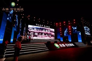 永锋·百合新城璀璨亮相，庞龙献唱引爆武城文化新篇章